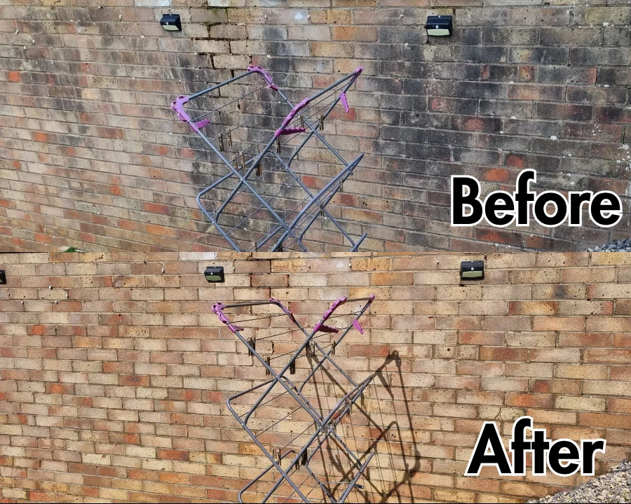 Before and after: a boundary wall stripped of years of green growth