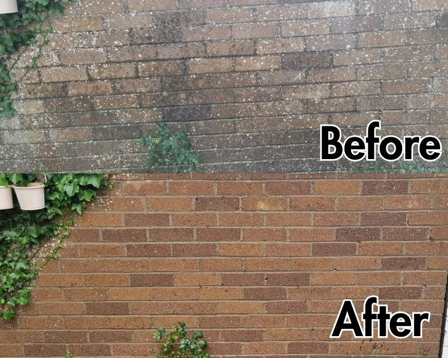 Before and after: lichen and algae treated and removed from masonry